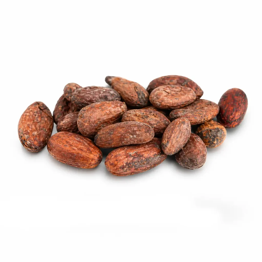 Raw Cacao Beans
